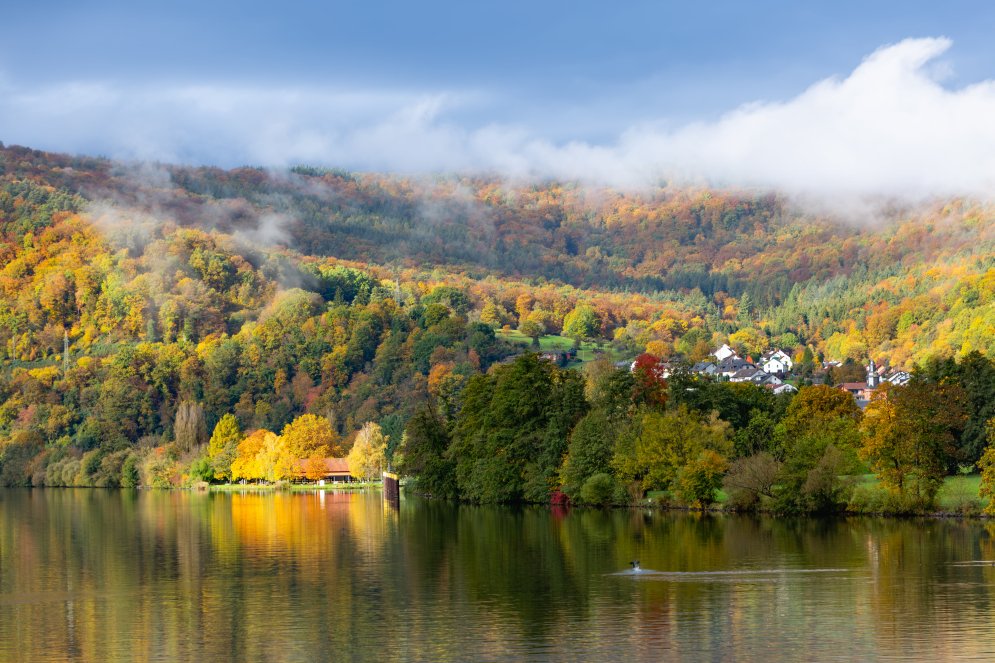 EURC1396-Enhanced-NR