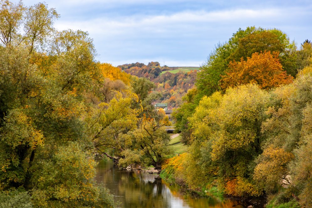 EURC0688-Enhanced-NR